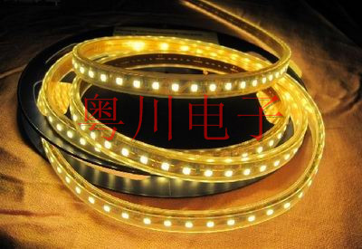 Silicone casing Waterproof Flexible LED Strip